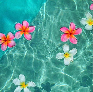 Meet your Posher, Lila